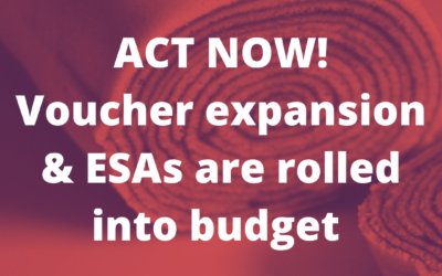 Vic’s Statehouse Notes #354 Voucher expansion & ESAs are rolled into budget bill